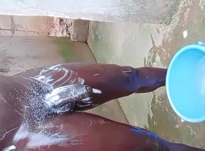 Wow Big Dick Workouts Experience