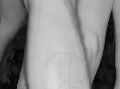 In a Park, at Night, Jules Is Desperate to Pee and Tries to Hide From His Friend but Is Caught on Night Vision Cam
