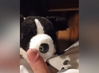 Border Collie Plushie Licks And Makes Onesie Pubby Cum!