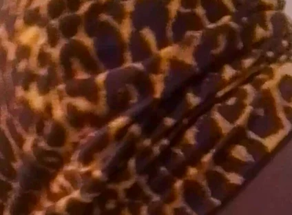 Twerk and Seduce Him Before Fucking