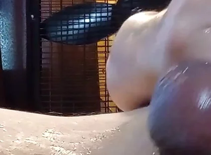 Cum Clean My Cock