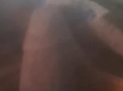 Dick Lovers
