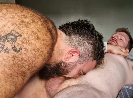 Sucking Bear Cock
