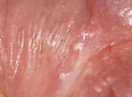 Wide Hole Filled with Pre Cum in Close up