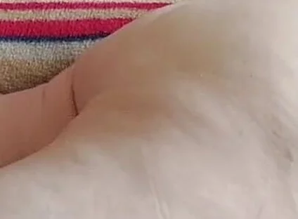 Come and Fuck My Beautiful Ass