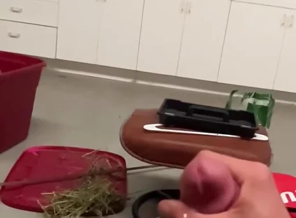 2821668272.mp4