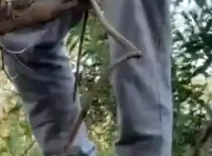 Hot Amateur Boy Sucks and Rims in the Woods