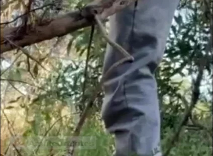 Hot Amateur Boy Sucks and Rims in the Woods
