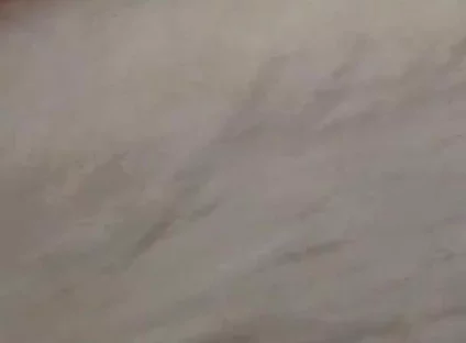 New Cum Video with Vibrating Dildo in My Ass