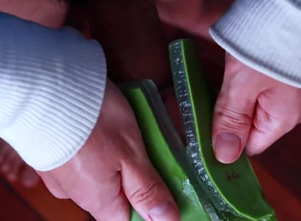 Using Aloe Vera as a Fleshlight