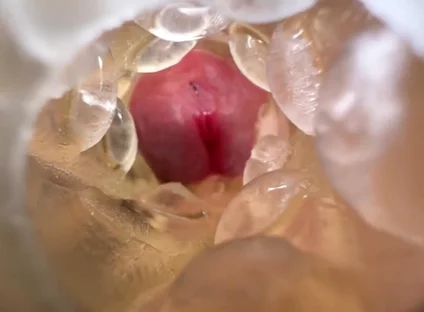 Huge Creampie with Internal View While Fucking Fleshlight, Moaning and Dirty Talking