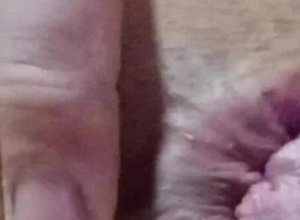 Dildo Xxl Home