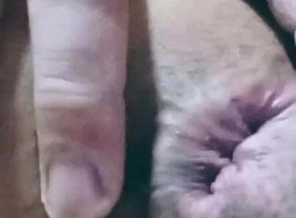 Nice Anal