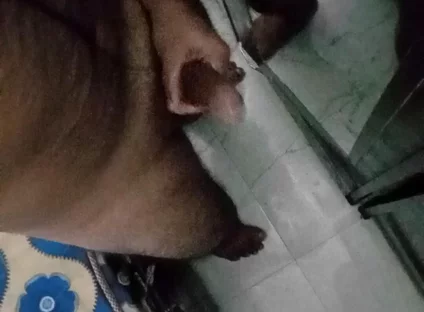 Oiling my big dick in the bedroom and masturbating Infront of mirror