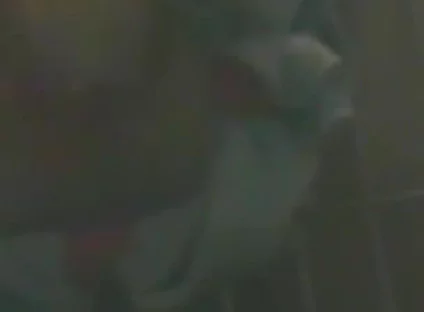 Slave in Cage Gets Anal Used