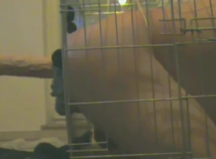 Slave in Cage Gets Anal Used