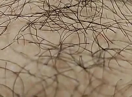 I'm Hairy Boy This My Legs and Dick