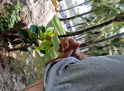 Public Beach Cock Flash