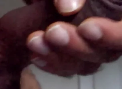 I Love Slo-mo.