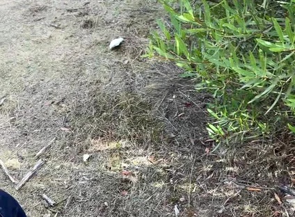 Cruising Adventures: Ep. 3, Madrid Outdoor Suck and Fuck Latino Guy and His Boyfriend