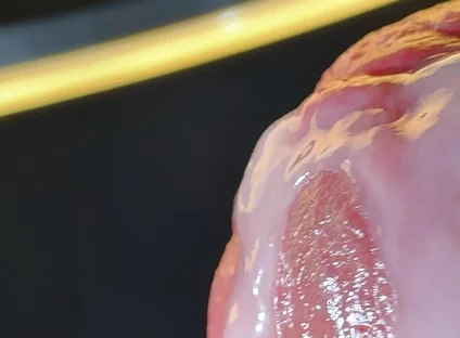 Wet Penis Gets Masturbated