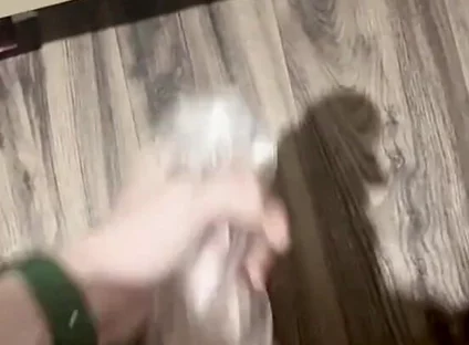 Horny Twink Needed a Release. Big Cumshot, Fucking a Flashlight, Intensive Masturbation. POV 4K Full HD