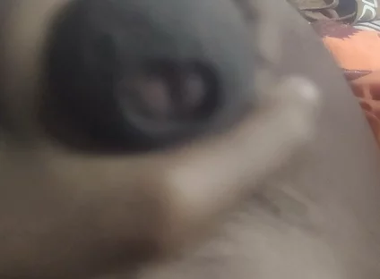 Aunty's Pussy Became Wet After Seeing My Penis.