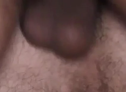Breeding in Milan - with Bo Bailey and Will Hose