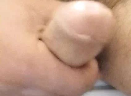 Stay Close to My Penis