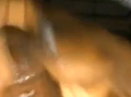 Solo Dick Massage Intense Cumshot
