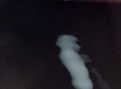 What Does Sperm Experience in Slow Motion?