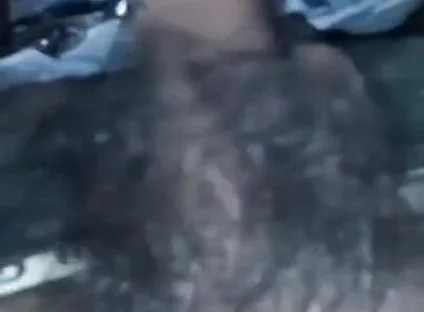 Sexy Video