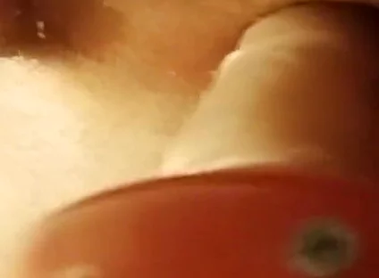 Ass Fucking