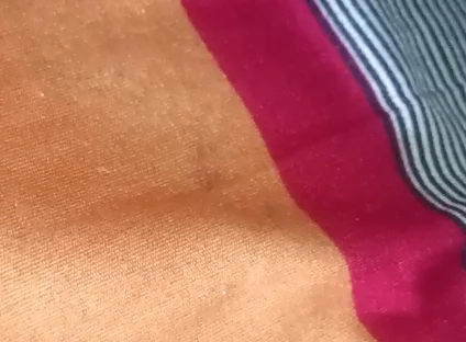 Desi Boy Anal Hole