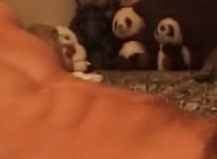 Throbbing Cock Deepthroat Gagging Till Drooling Mess