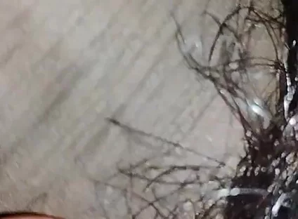 Indian Desi Boy Penis
