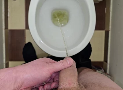 Pissing to the Toilet