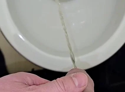 Pissing to the Toilet