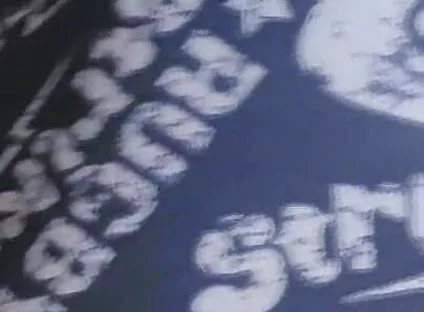 Gray Boxer and White Socks (video 1)