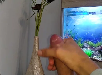 Hot Young Guy Wanks His Nice Big Cock Until He Cums Slowly in Front of the Aquarium