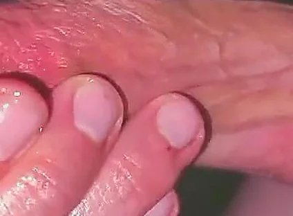 Famous Monster Cock Streamer Forgot His Webcam on