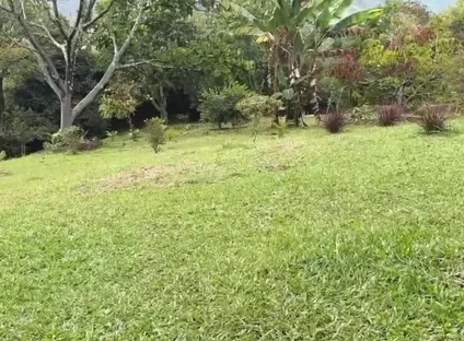 Horny Guy with Glasses Shows You His Morning Erection and Masturbates Outdoors - Andcristian
