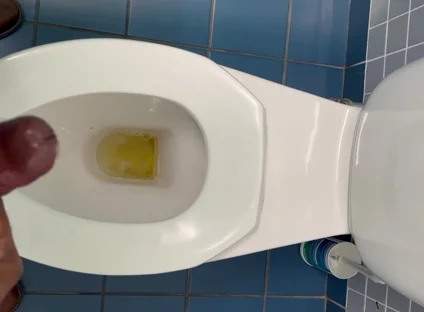 Jerking off in the Office Washroom