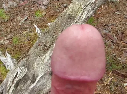 Naked Boner Walk in Public Forest Part 6