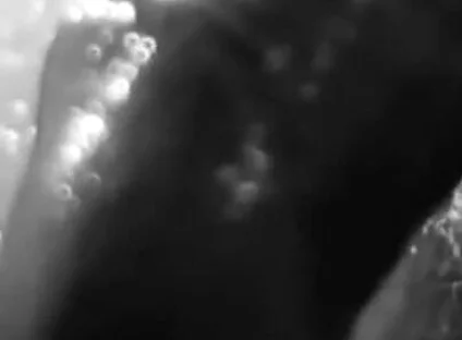 Stylish Compilation of Masturbation Shots - Self Shot Big White Cock and Cum