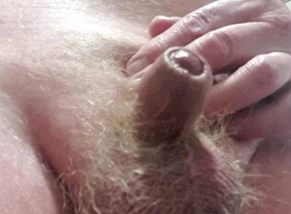 My Tiny Dick Show