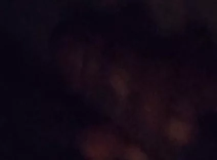 BBC Jerkoff