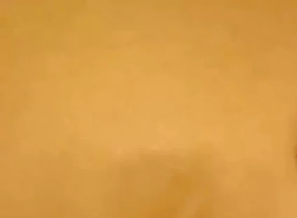 Black Cock Shots