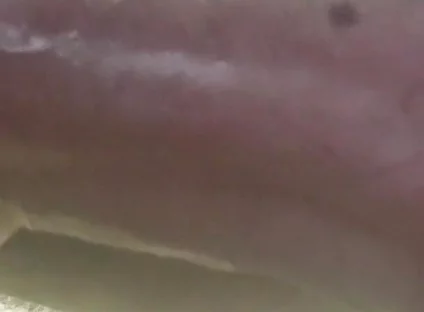 My Cock in a Vacuum