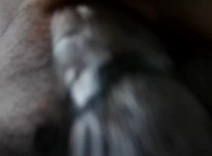 POV Sucking Uncut BBC